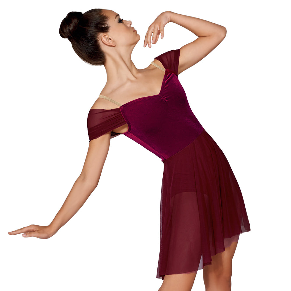 Velvet Leotards Dance Dress