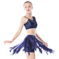 Sequin Tassels Belly Dance 2 Piece Outfit