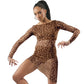 Leopard Mesh 2PC Dress Set