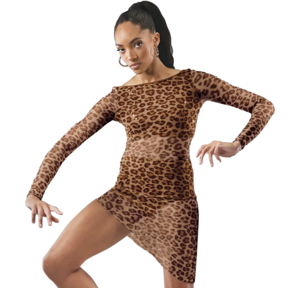 Leopard Mesh 2PC Dress Set