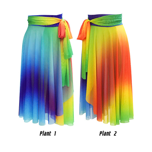 Rainbow Mesh Dress