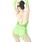 Handmade Beading Fringe Dance Dress Latin Dance Costumes