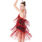 Sequin Tassels Latin Dance Dresses
